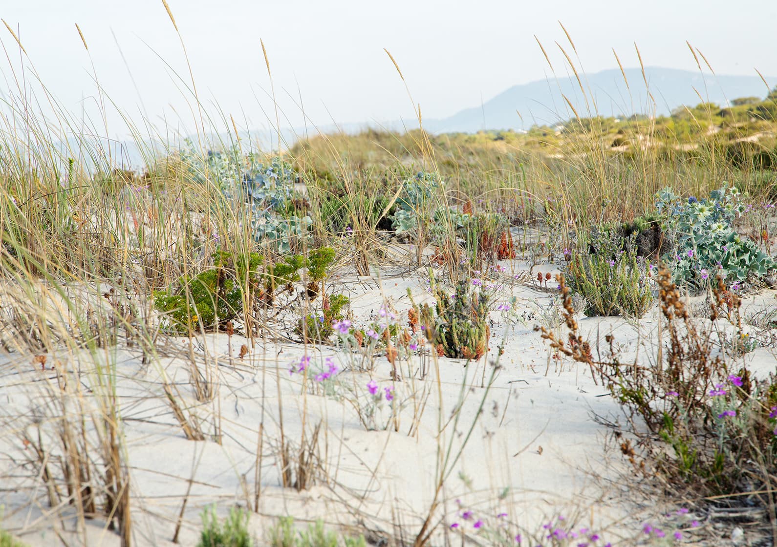 Na Praia is a hotel perfectly in tune with its home, one that doesn’t hinder its habitat but treats it with respect.